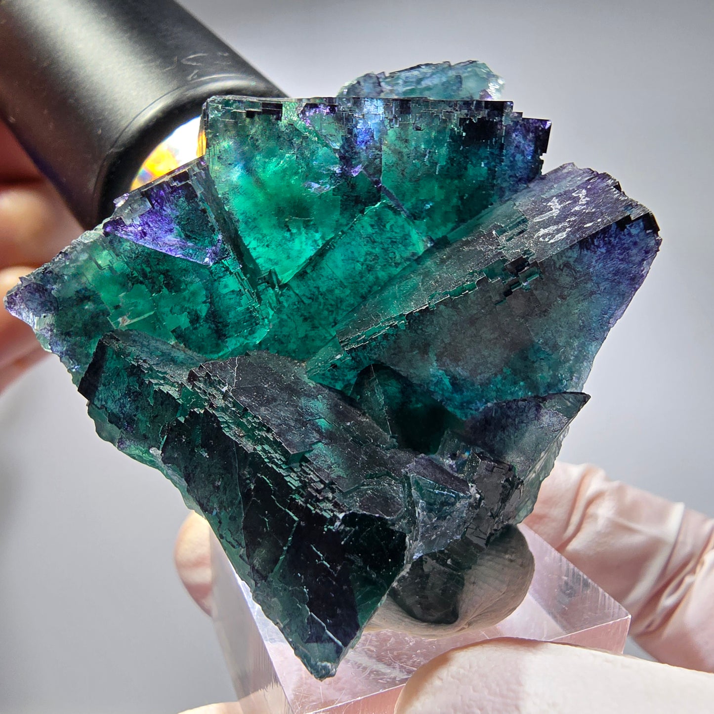 Phantom Fluorit Würfel Stufe, parkettiert Okorusu, Namibia 62*50*32mm #13281