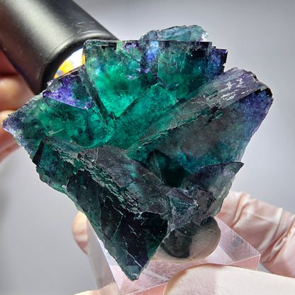Phantom Fluorit Würfel Stufe, parkettiert Okorusu, Namibia 62*50*32mm #13281