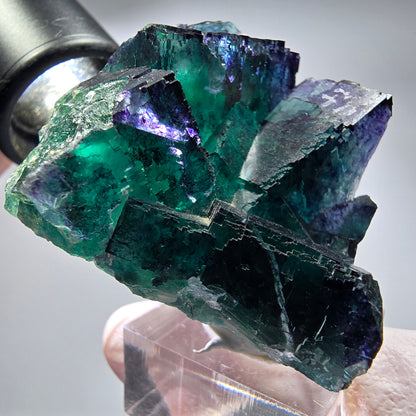 Phantom Fluorit Würfel Stufe, parkettiert Okorusu, Namibia 62*50*32mm #13281