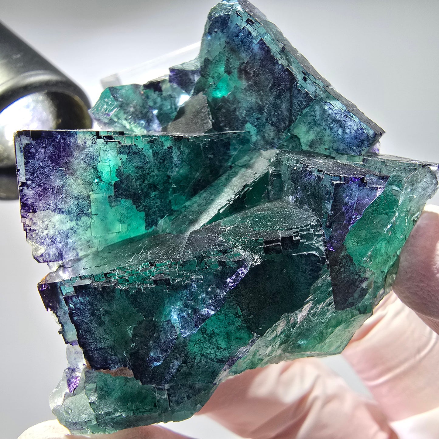 Phantom Fluorit Würfel Stufe, parkettiert Okorusu, Namibia 62*50*32mm #13281