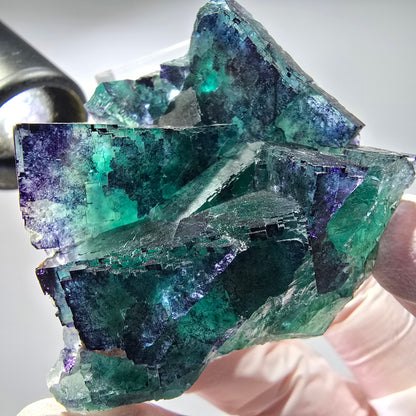 Phantom Fluorit Würfel Stufe, parkettiert Okorusu, Namibia 62*50*32mm #13281