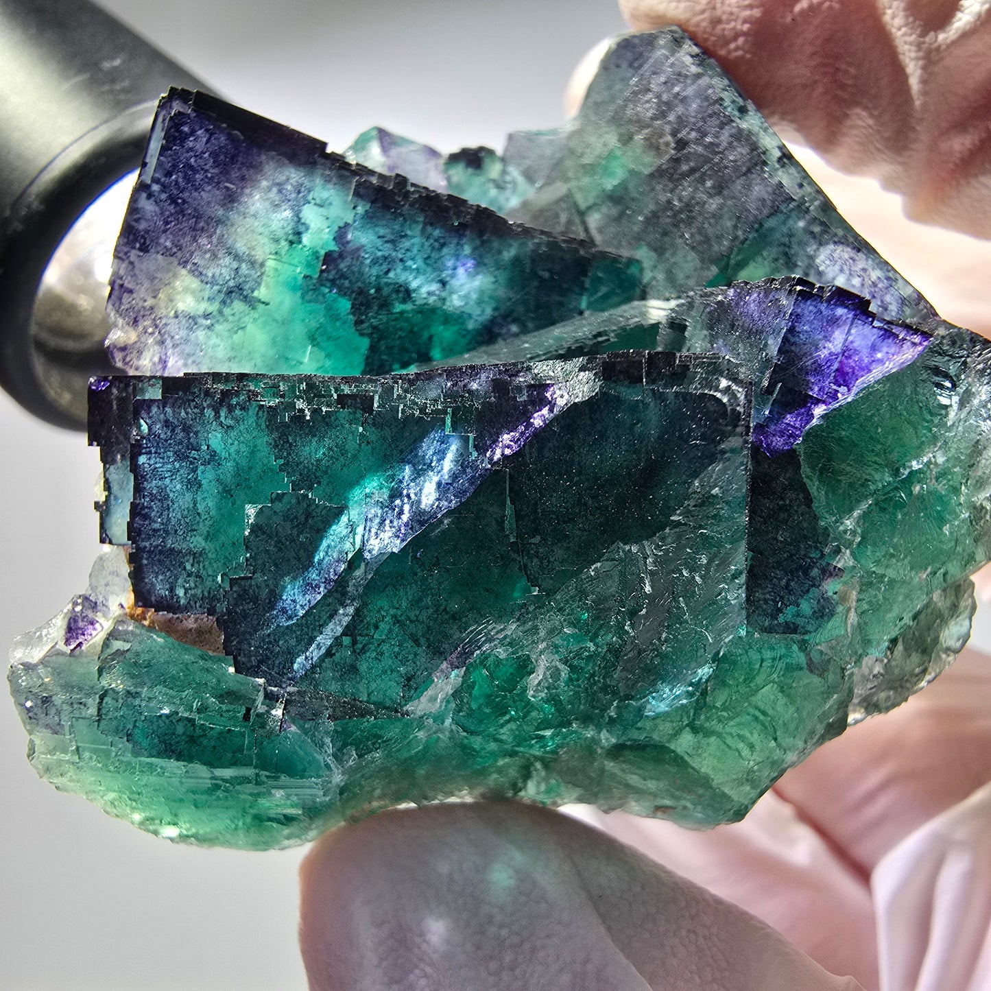 Phantom Fluorit Würfel Stufe, parkettiert Okorusu, Namibia 62*50*32mm #13281