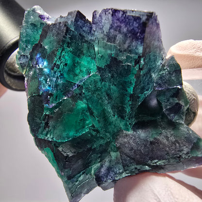 Phantom Fluorit Würfel Stufe, parkettiert Okorusu, Namibia 62*50*32mm #13281