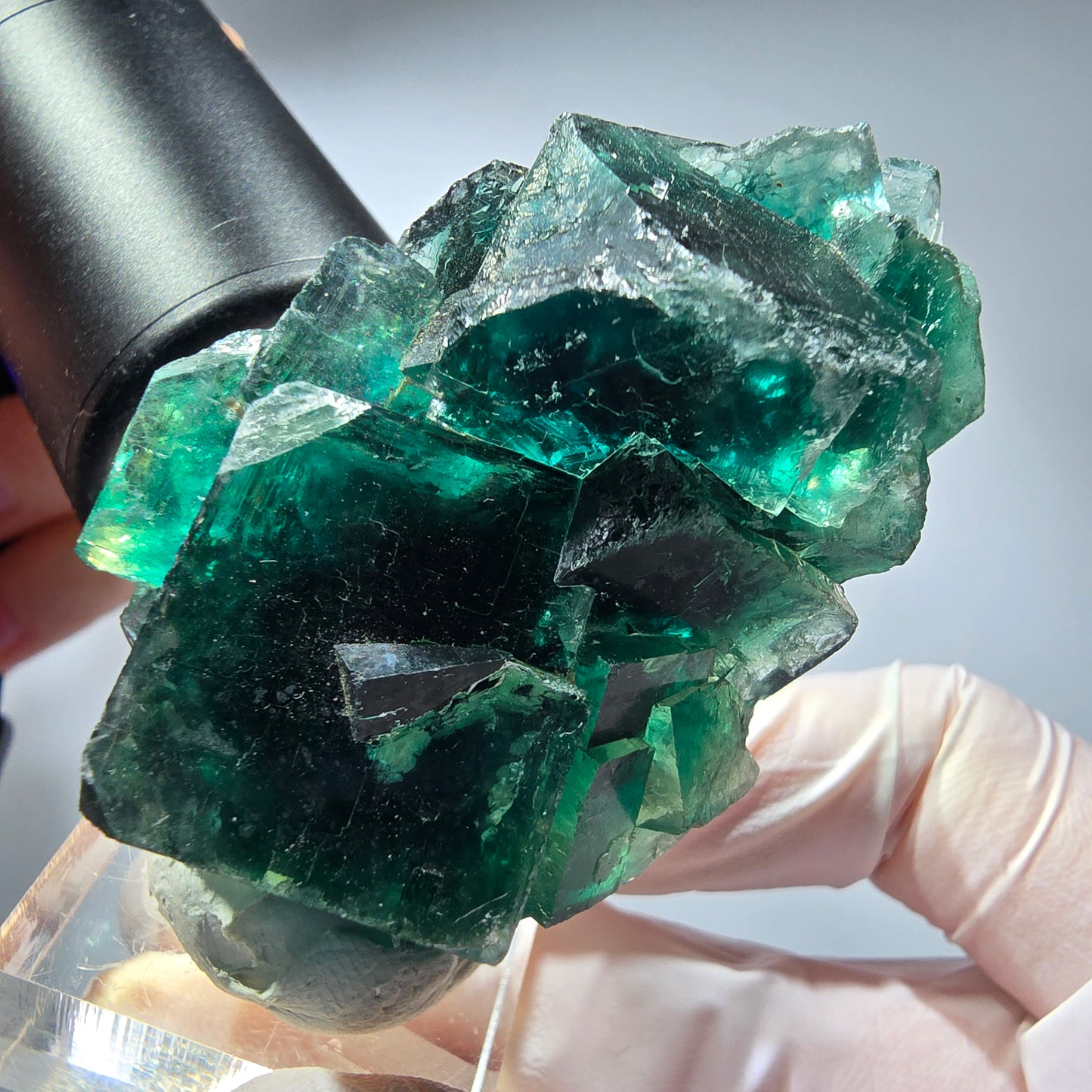 Phantom Fluorit Würfel Stufe, parkettiert grün Okorusu, Namibia 59*38*26mm #13282