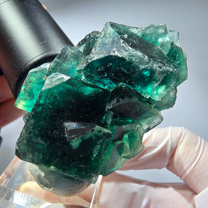 Phantom Fluorit Würfel Stufe, parkettiert grün Okorusu, Namibia 59*38*26mm #13282