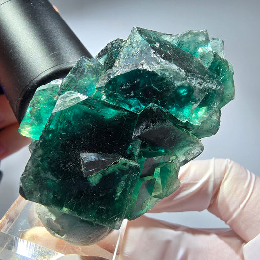 Phantom Fluorit Würfel Stufe, parkettiert grün Okorusu, Namibia 59*38*26mm #13282