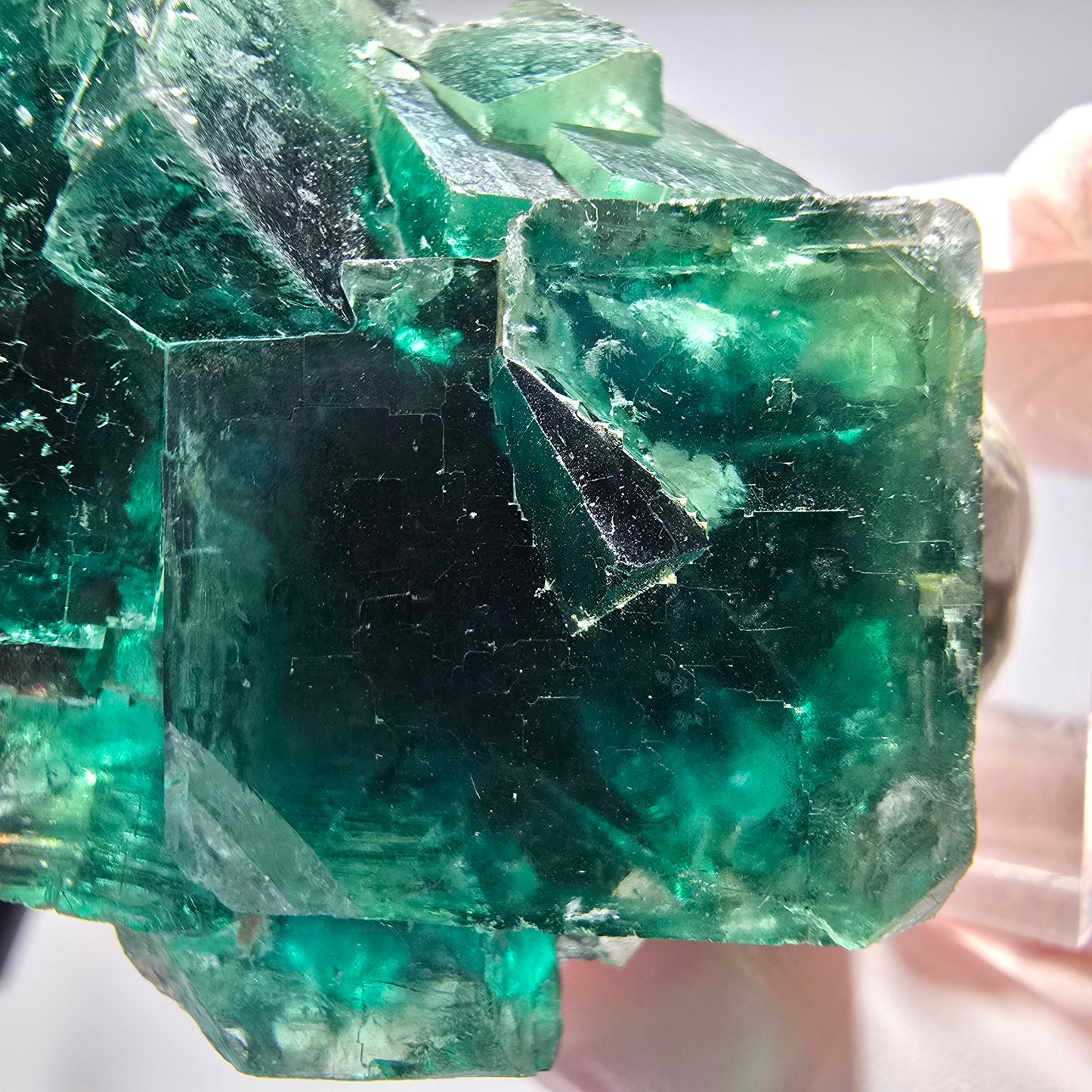 Phantom Fluorit Würfel Stufe, parkettiert grün Okorusu, Namibia 59*38*26mm #13282