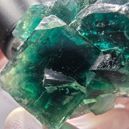 Phantom Fluorit Würfel Stufe, parkettiert grün Okorusu, Namibia 59*38*26mm #13282