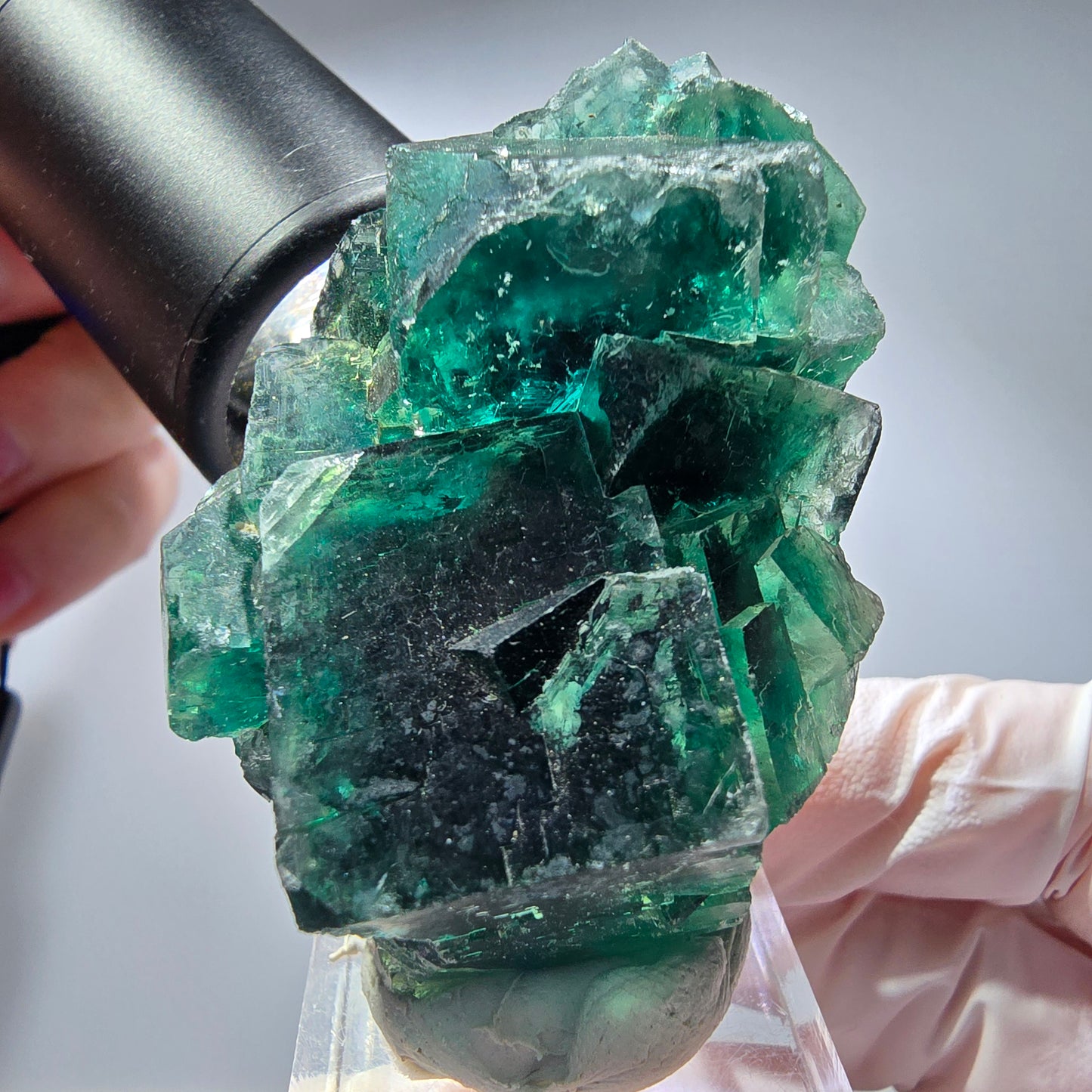 Phantom Fluorit Würfel Stufe, parkettiert grün Okorusu, Namibia 59*38*26mm #13282