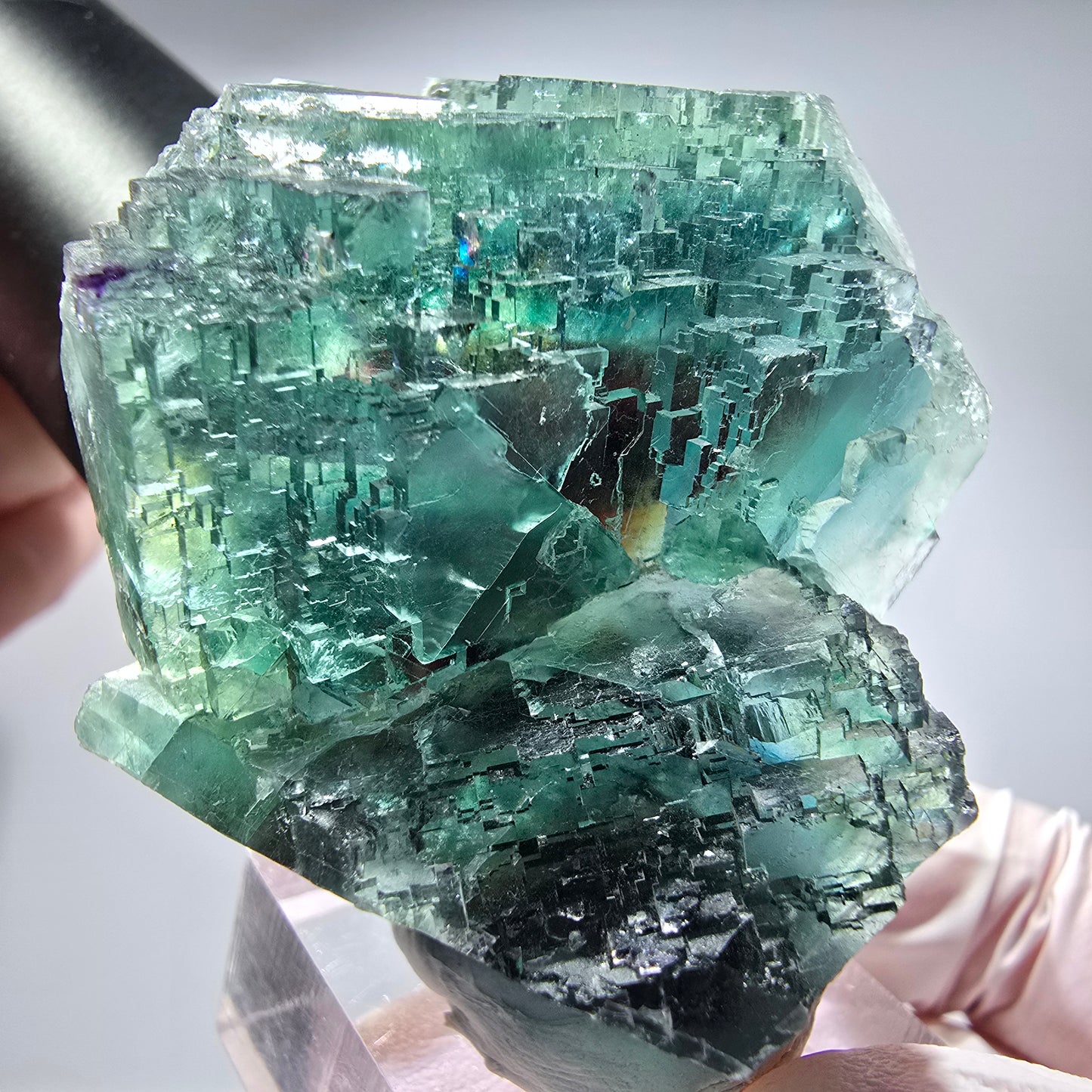 Phantom Fluorit Würfel Stufe, parkettiert grün Okorusu, Namibia 51*45*29mm #13283