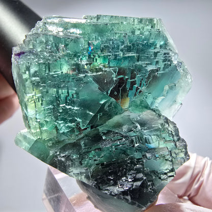 Phantom Fluorit Würfel Stufe, parkettiert grün Okorusu, Namibia 51*45*29mm #13283