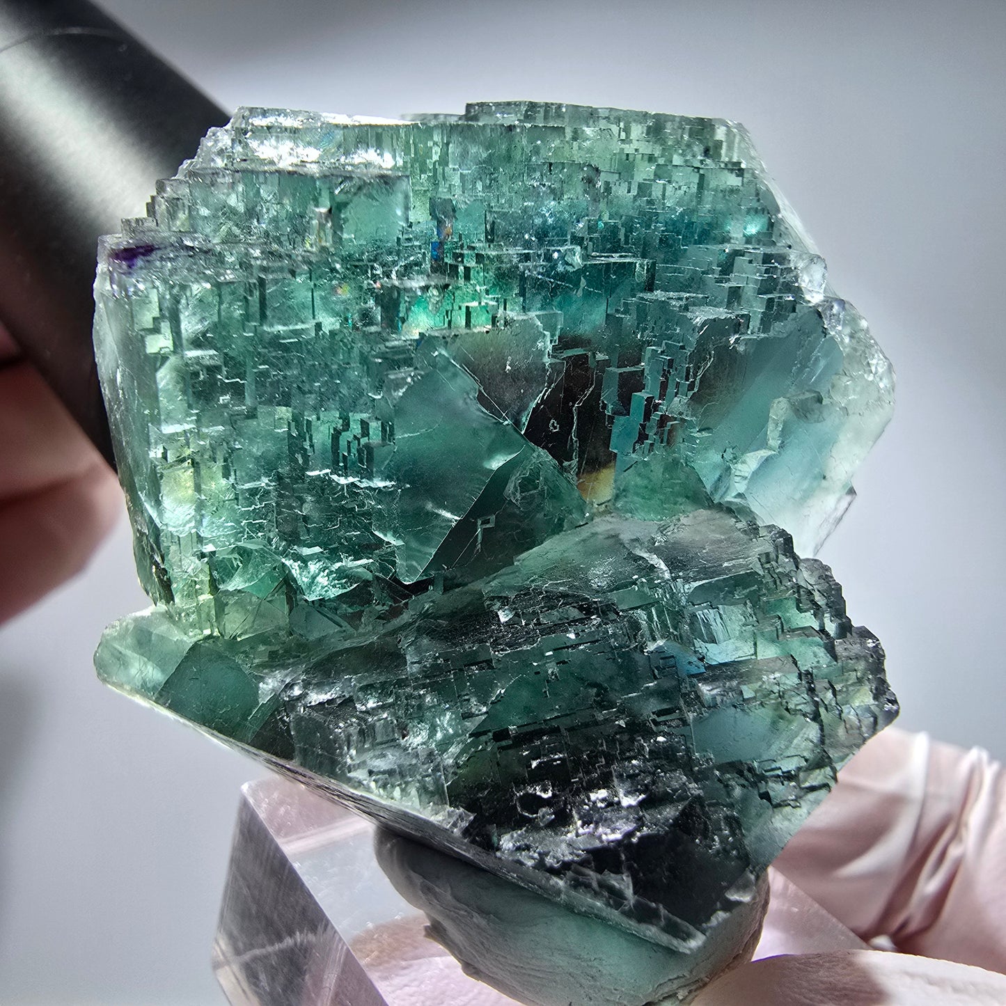 Phantom Fluorit Würfel Stufe, parkettiert grün Okorusu, Namibia 51*45*29mm #13283