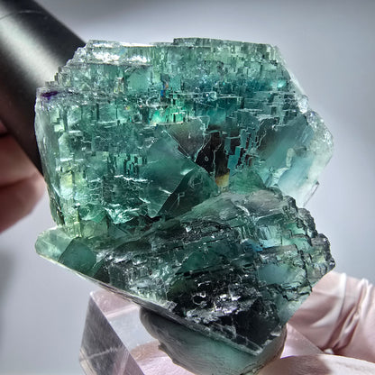 Phantom Fluorit Würfel Stufe, parkettiert grün Okorusu, Namibia 51*45*29mm #13283
