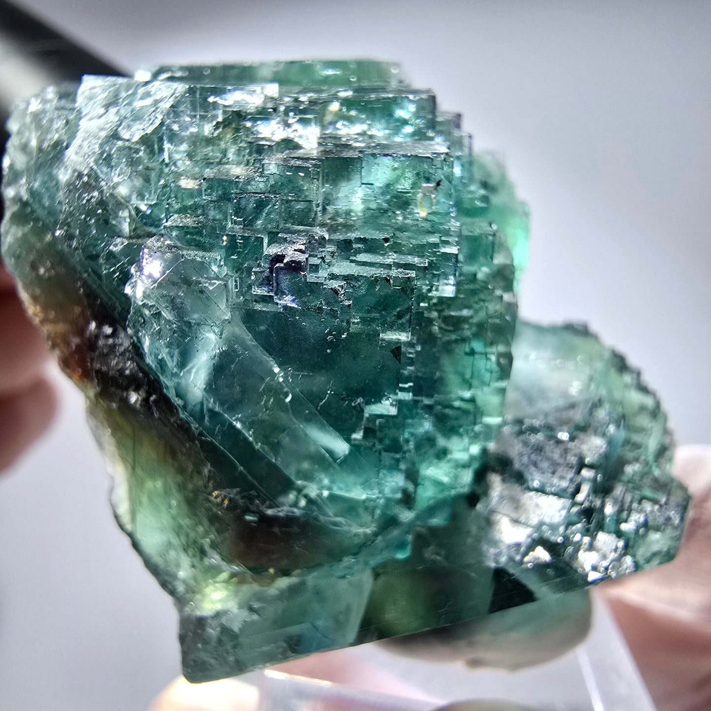 Phantom Fluorit Würfel Stufe, parkettiert grün Okorusu, Namibia 51*45*29mm #13283
