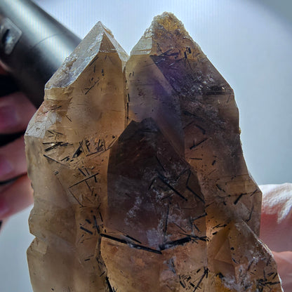 Große Skelett Rauchquarz Zepter mit Hyalit, Schörl Turmalin Erongo, Namibia 94*49*43mm #13291