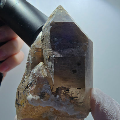 Große Skelett Rauchquarz Zepter mit Hyalit, Schörl Turmalin Erongo, Namibia 94*49*43mm #13291
