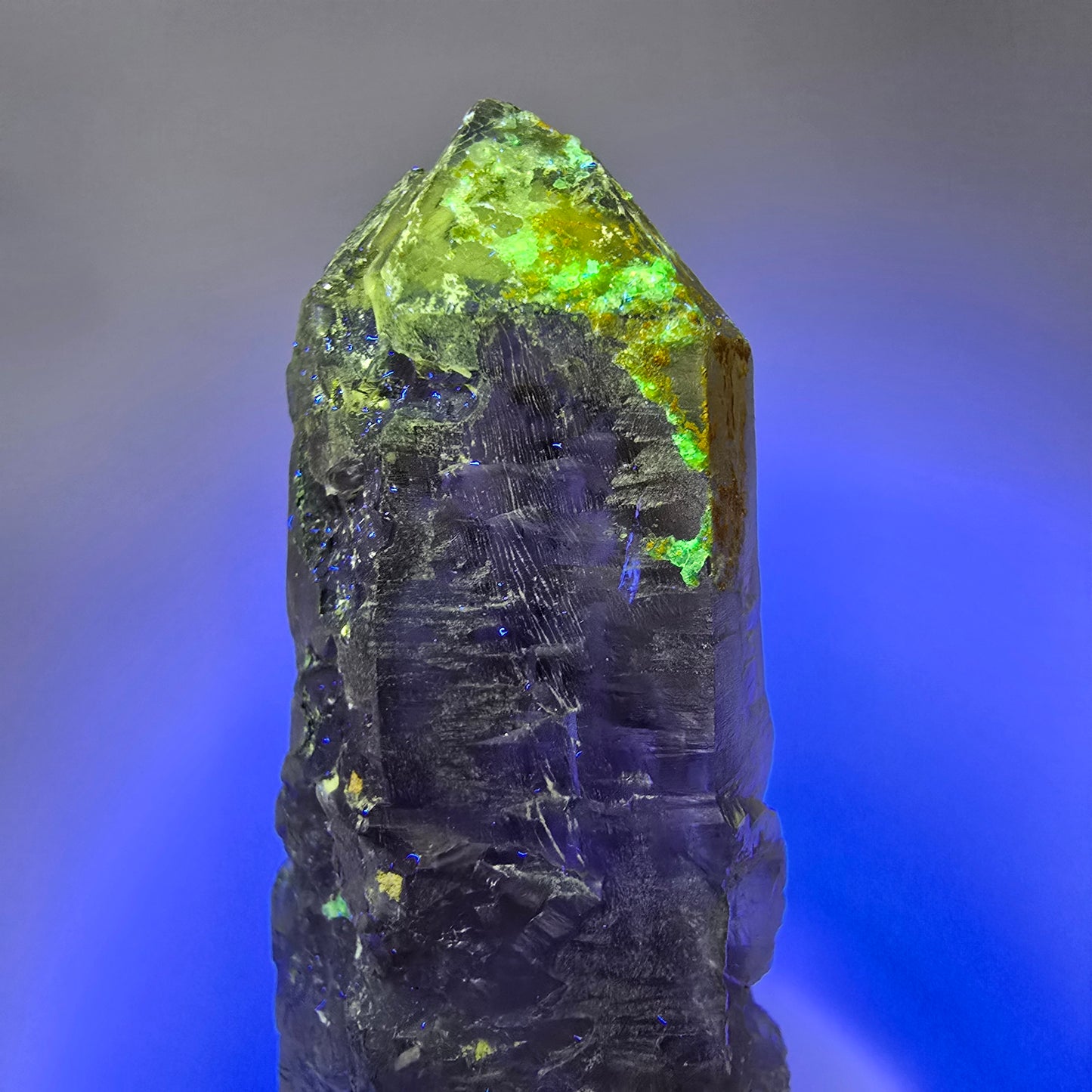 Skelett Rauchquarz mit Hyalit, Schörl Turmalin Erongo, Namibia 108*29*26mm #13309