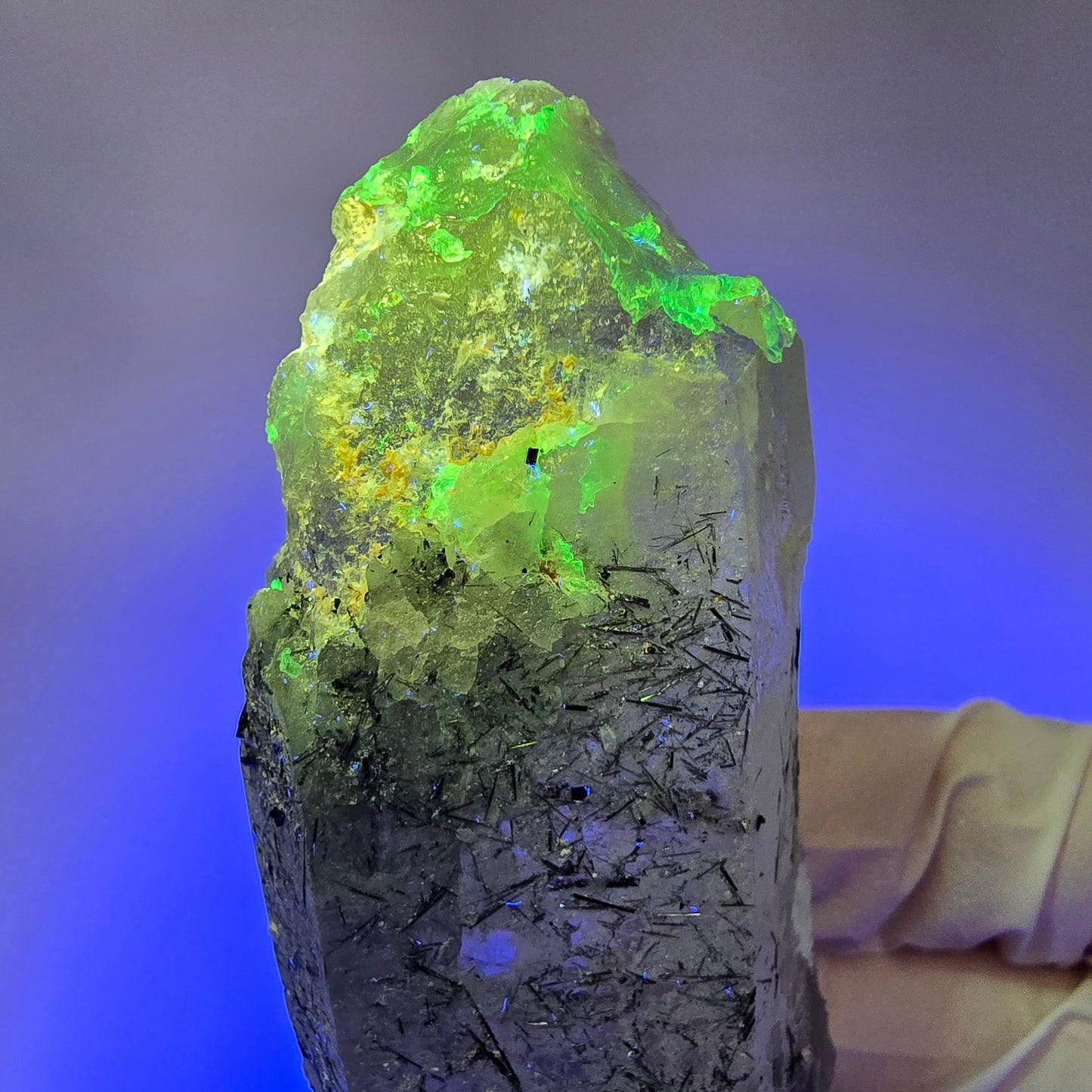 Skelett Rauchquarz mit Hyalit, Schörl Turmalin Erongo, Namibia 108*29*26mm #13309