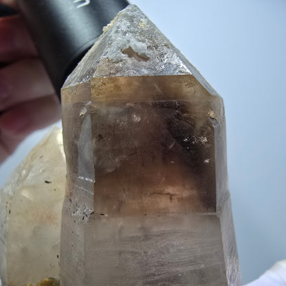 Zepter Rauchquarz mit Hyalit, Schörl Turmalin, Muskovit Erongo, Namibia 73*48*36mm #13310