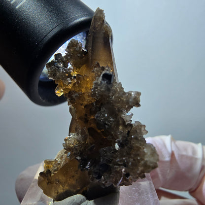 Seltene Rauchquarz, Schörl Turmalin Formation Erongo Namibia 39*21*23mm #13323