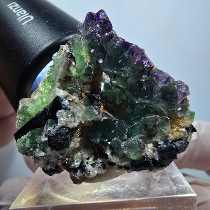 Phantom Fluorit, Schörl Turmalin, Muskovit Stufe Erongo Namibia 34*29*24mm #13327