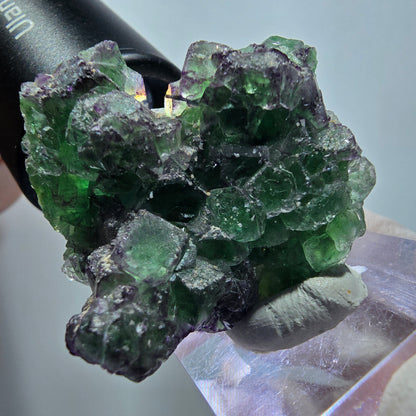 Phantom Fluorit, Schörl Turmalin, Muskovit Stufe Erongo Namibia 42*38*20mm #13329