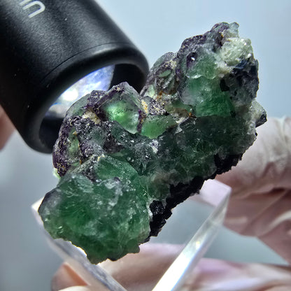 Phantom Fluorit, Schörl Turmalin, Muskovit Stufe Erongo Namibia 42*38*20mm #13329