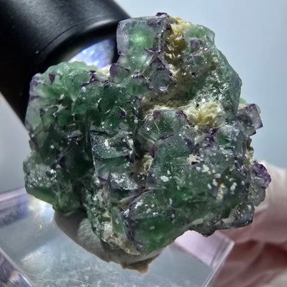 Phantom Fluorit, Schörl Turmalin, Muskovit Stufe Erongo Namibia 30*28*22mm #13330