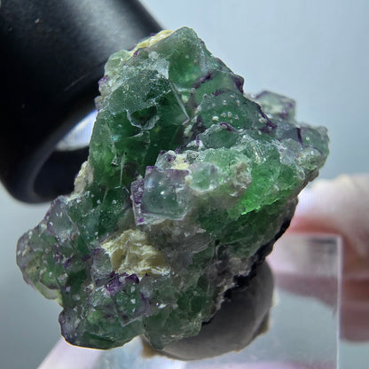Phantom Fluorit, Schörl Turmalin, Muskovit Stufe Erongo Namibia 30*28*22mm #13330