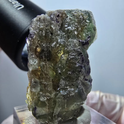 Seltene Phantom Fluorit Formation, grün lila Erongo Namibia 37*25*20mm #13336