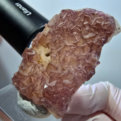 Seltene Phantom Fluorit Würfel auf Quarz Stufe, lila gelb Omehane, Namibia 49*30*15mm #13338