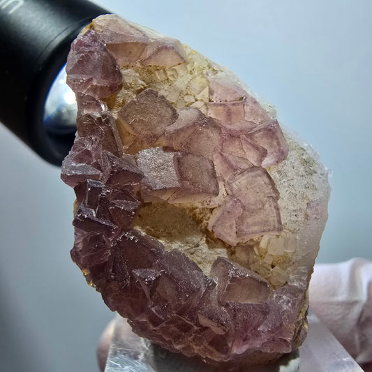 Seltene Phantom Fluorit Würfel auf Quarz Stufe, lila gelb Omehane, Namibia 44*30*19mm #13339