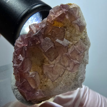 Seltene Phantom Fluorit Würfel auf Quarz Stufe, lila gelb Omehane, Namibia 44*30*19mm #13339