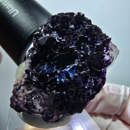 Seltene Phantom Fluorit Würfel Stufe, lila blau gestuft Omehane, Namibia 38*28*20mm #13340