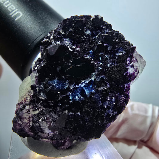 Seltene Phantom Fluorit Würfel Stufe, lila blau gestuft Omehane, Namibia 38*28*20mm #13340
