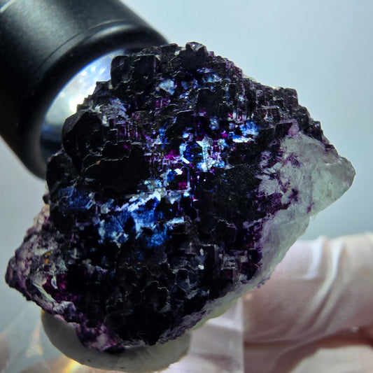 Seltene Phantom Fluorit Würfel Stufe, lila blau gestuft Omehane, Namibia 38*28*20mm #13340