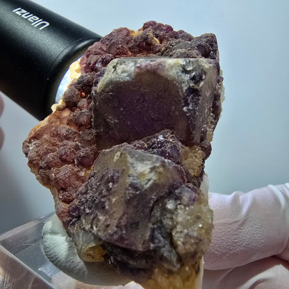 Seltene Phantom Fluorit Würfel auf Quarz Stufe, lila Omehane, Namibia 58*48*22mm #13341