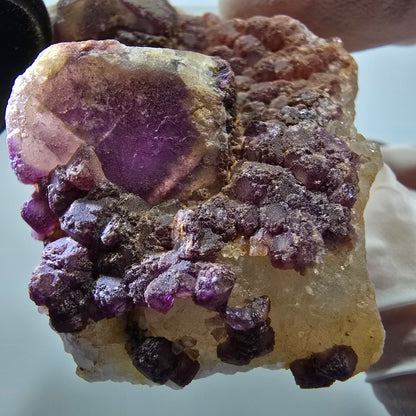 Seltene Phantom Fluorit Würfel auf Quarz Stufe, lila Omehane, Namibia 58*48*22mm #13341
