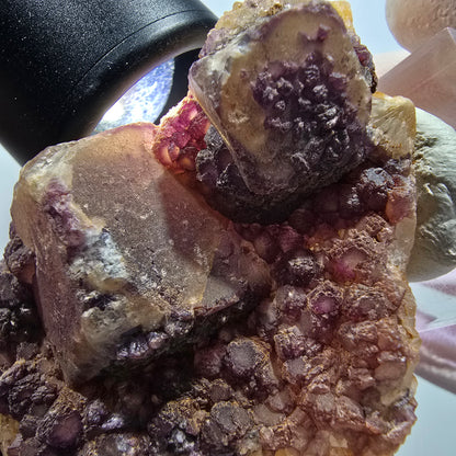 Seltene Phantom Fluorit Würfel auf Quarz Stufe, lila Omehane, Namibia 58*48*22mm #13341