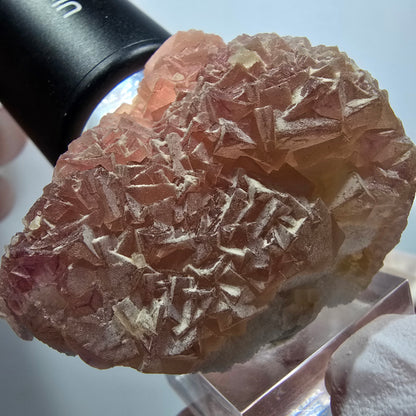 Seltene Phantom Fluorit Würfel auf Quarz Stufe, lila gelb Omehane, Namibia 50*43*36mm #13343