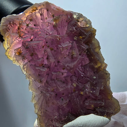 Seltene Phantom Fluorit Würfel auf Quarz Stufe, lila gelb Omehane, Namibia 50*41*15mm #13344