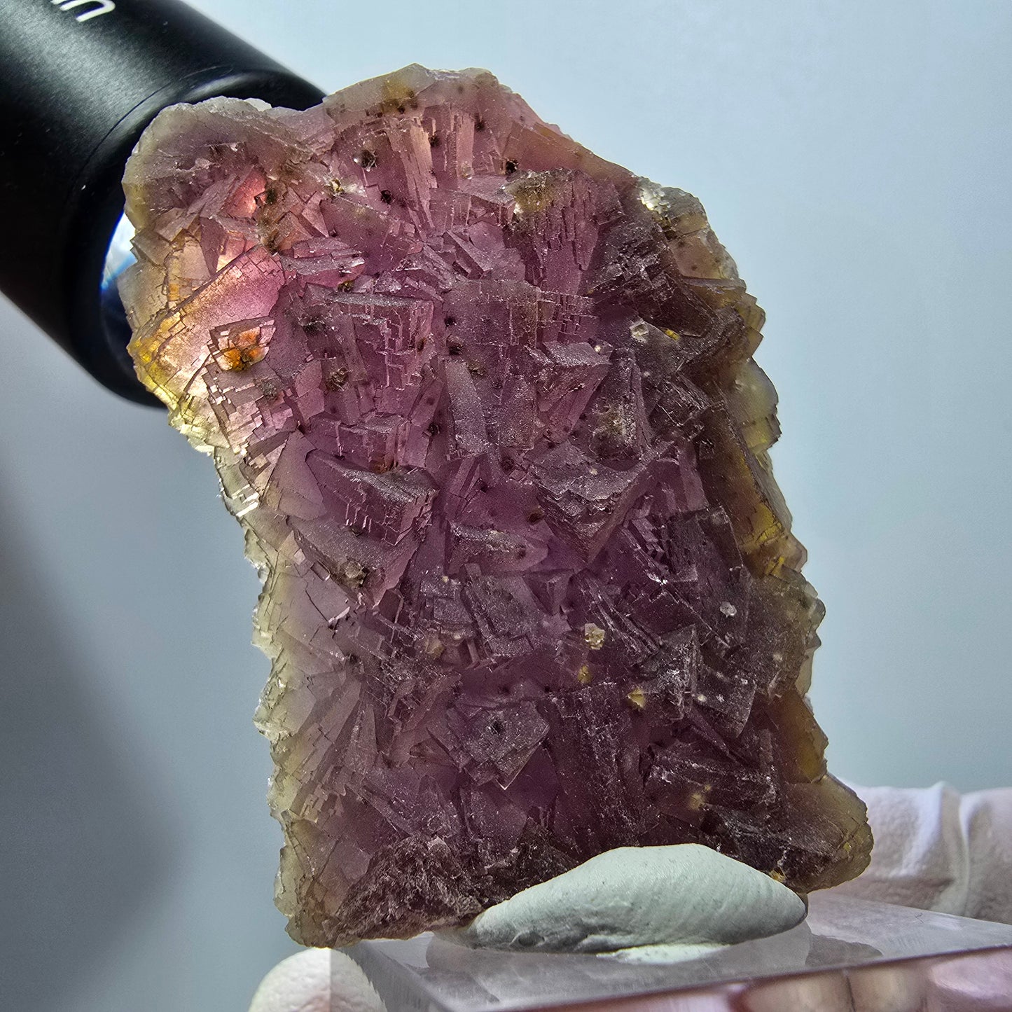 Seltene Phantom Fluorit Würfel auf Quarz Stufe, lila gelb Omehane, Namibia 50*41*15mm #13344
