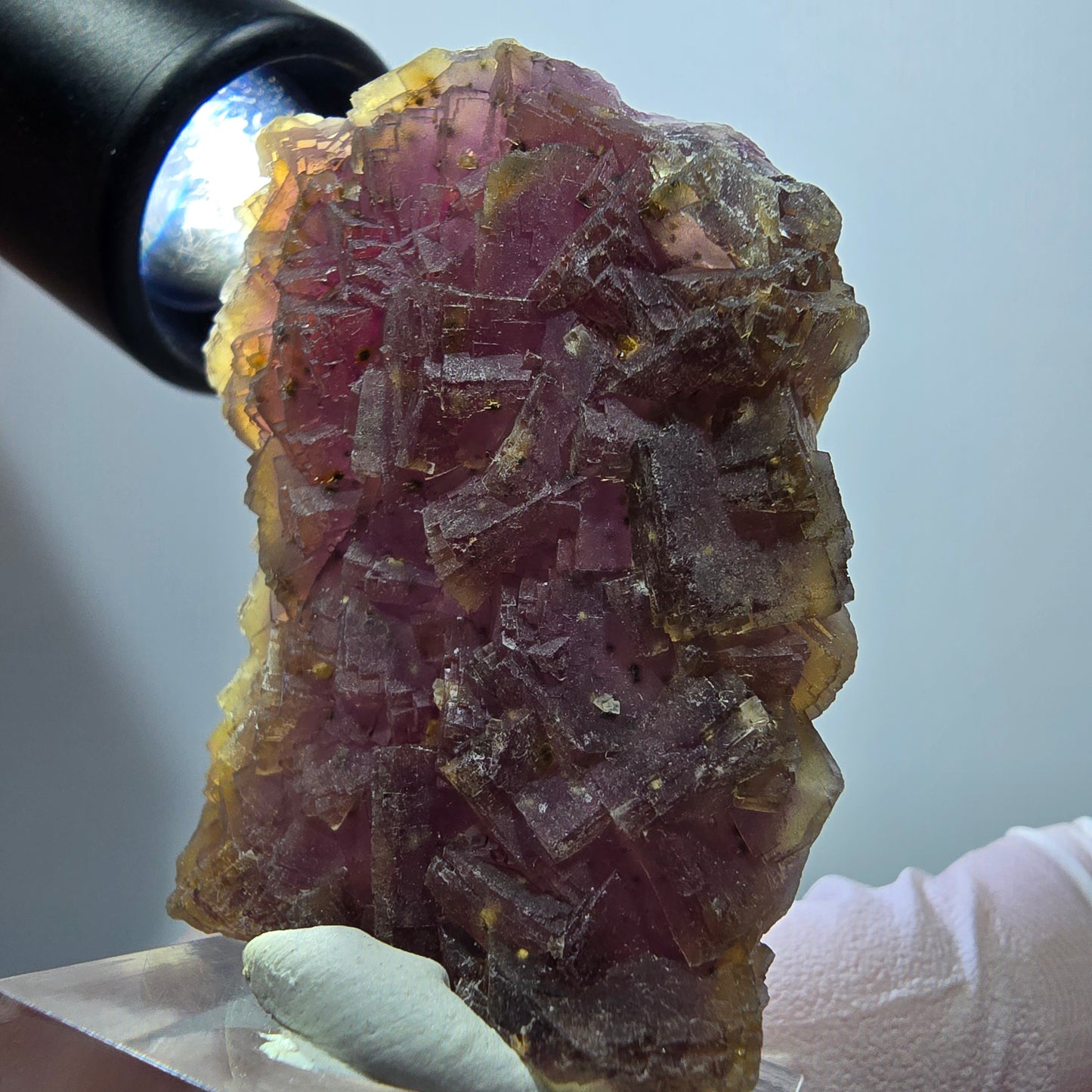 Seltene Phantom Fluorit Würfel auf Quarz Stufe, lila gelb Omehane, Namibia 50*41*15mm #13344