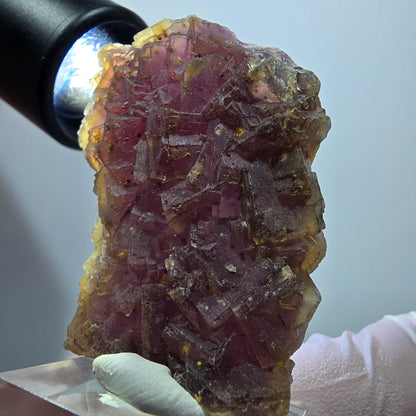 Seltene Phantom Fluorit Würfel auf Quarz Stufe, lila gelb Omehane, Namibia 50*41*15mm #13344