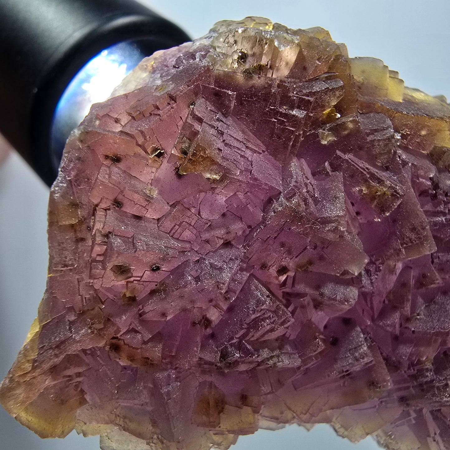 Seltene Phantom Fluorit Würfel auf Quarz Stufe, lila gelb Omehane, Namibia 50*41*15mm #13344