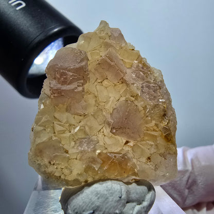 Seltene Phantom Fluorit Würfel auf Quarz Stufe, lila gelb Omehane, Namibia 36*27*13mm #13345