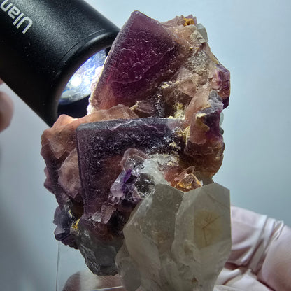 Seltene Phantom Fluorit Würfel auf Quarz Stufe, lila Omehane, Namibia 55*50*34mm #13346