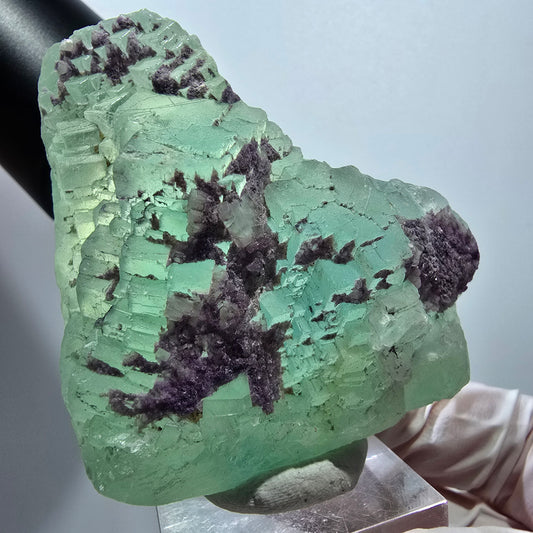 Seltene Phantom Fluorit Würfel, gestuft, grün lila Omehane, Namibia 55*52*25mm #13348