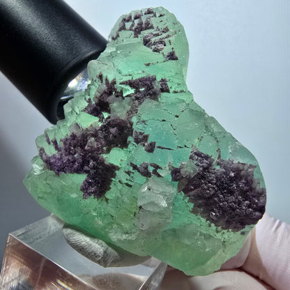 Seltene Phantom Fluorit Würfel, gestuft, grün lila Omehane, Namibia 55*52*25mm #13348