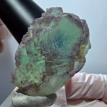 Seltene Phantom Fluorit Würfel, gestuft, grün lila Omehane, Namibia 47*34*28mm #13349